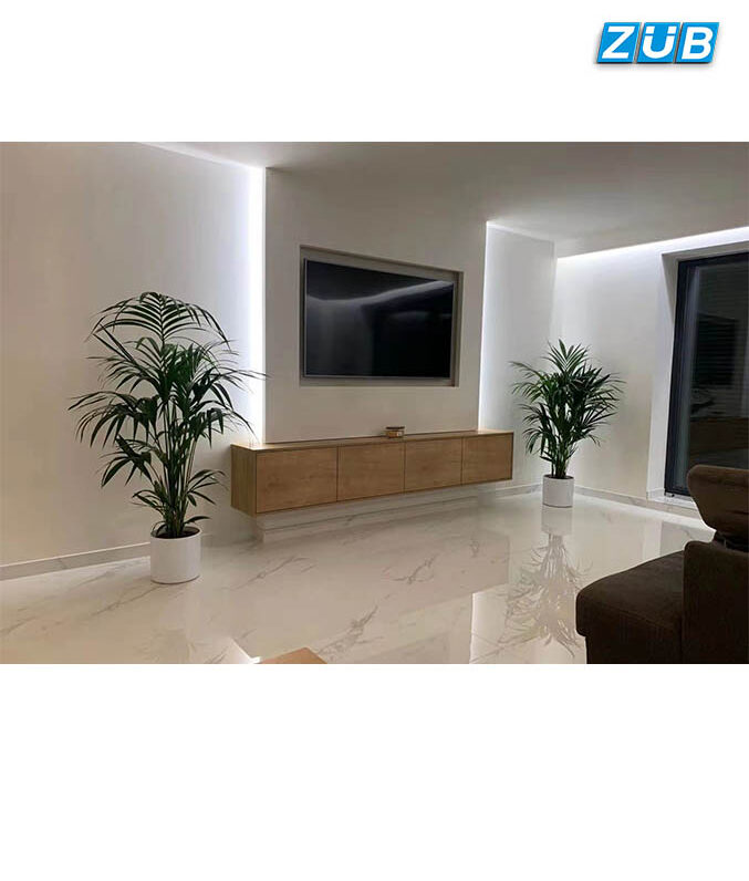 Gạch xương trắng ZUBXT8-01
